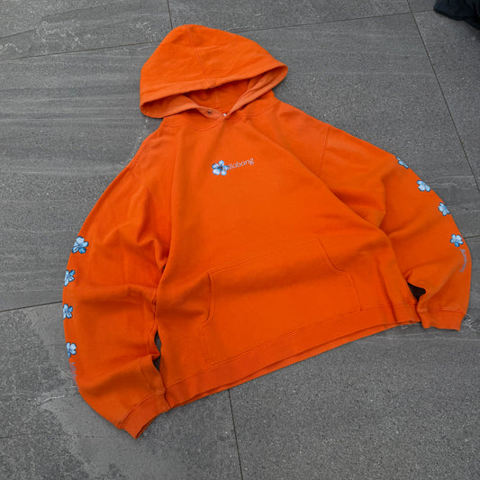 lofi 00s billabong hoodie - boxy/cropped S